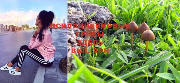 спайс Мегион