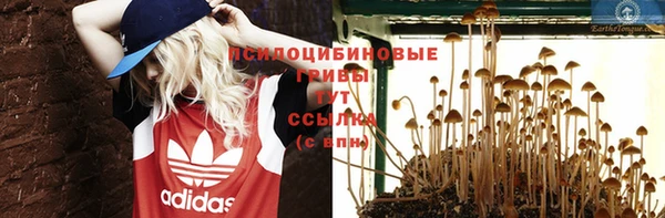 mdpv Медвежьегорск