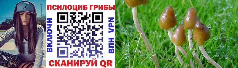 Галлюциногенные грибы Psilocybine cubensis  Купить где  Ялуторовск 